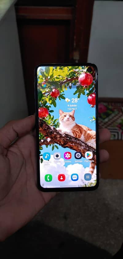 6/128 Samsung S10e