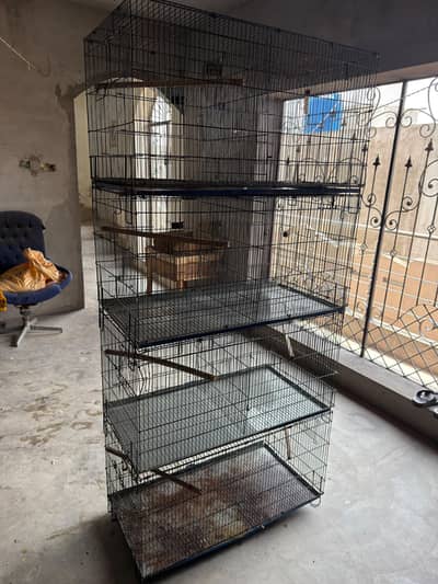 cages 4 portion each have big