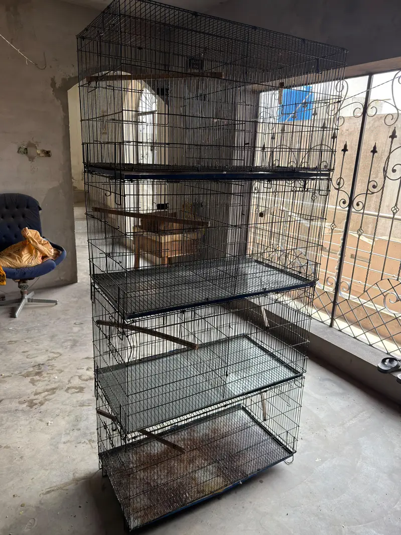 cages 4 portion each have big