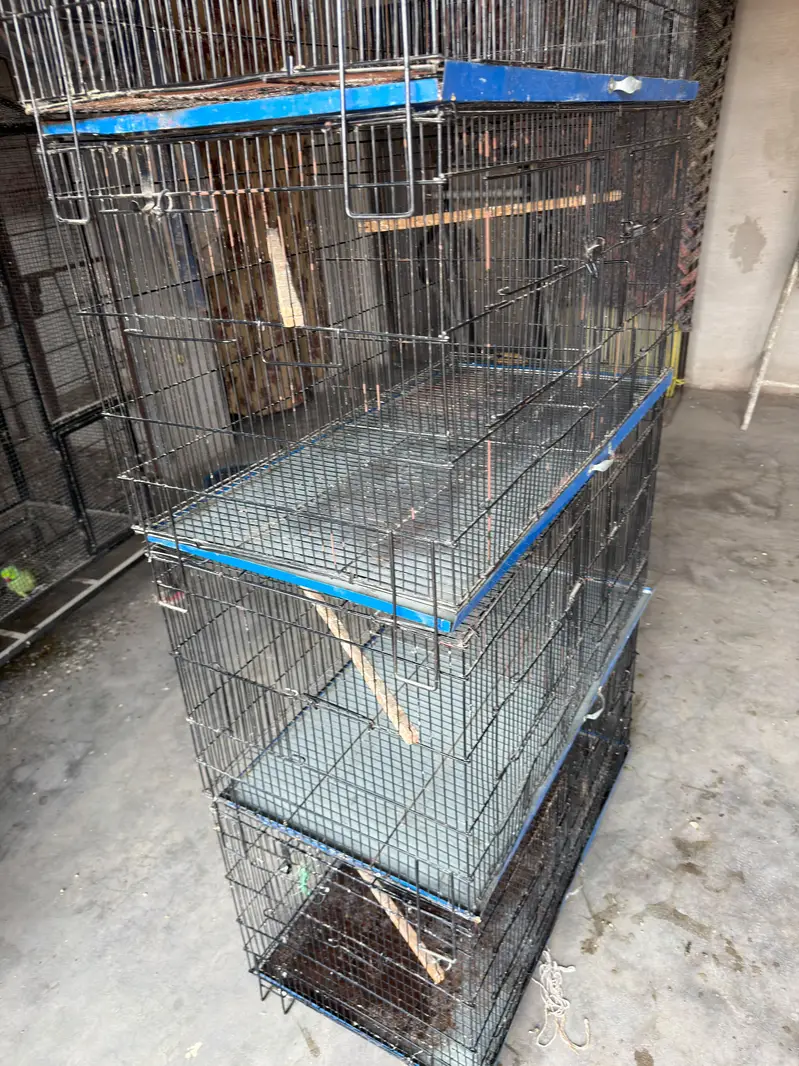 cages 4 portion each have big — photo 2