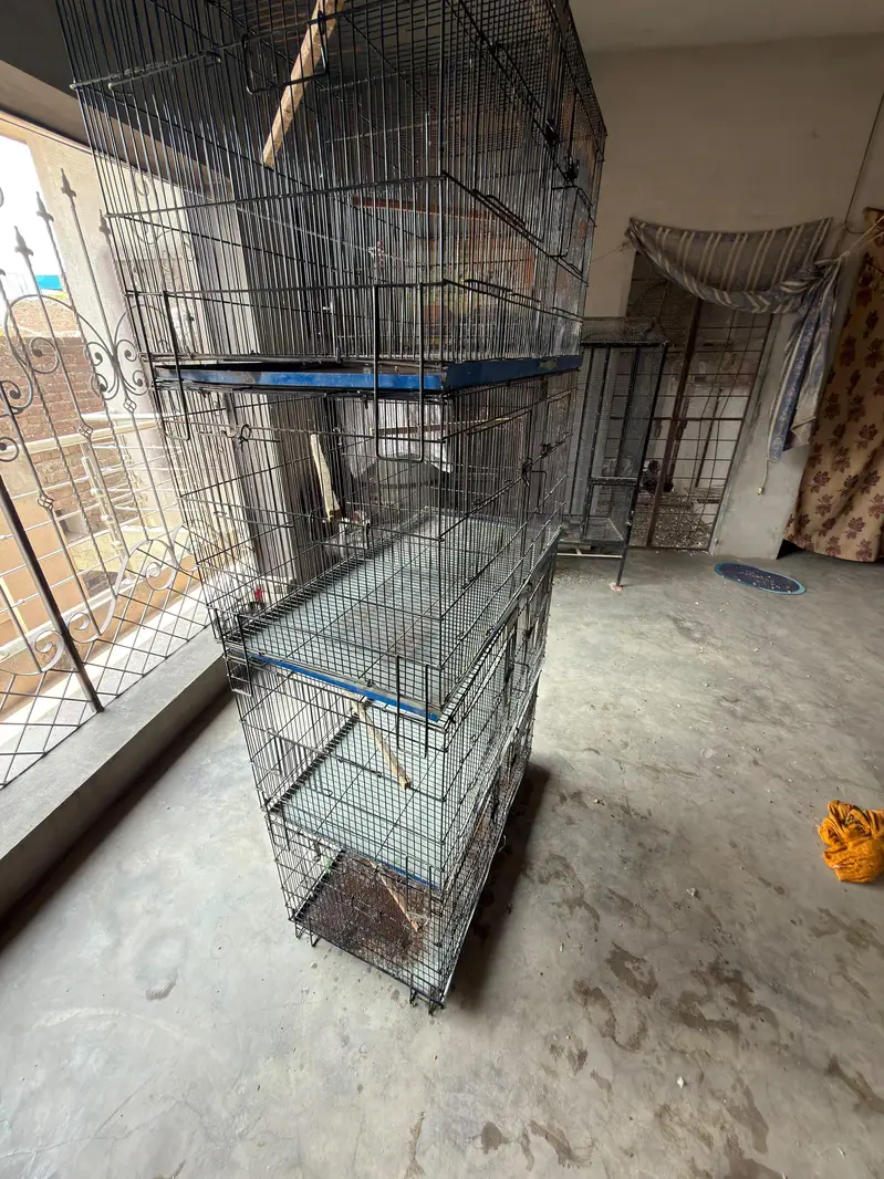cages 4 portion each have big — photo 3