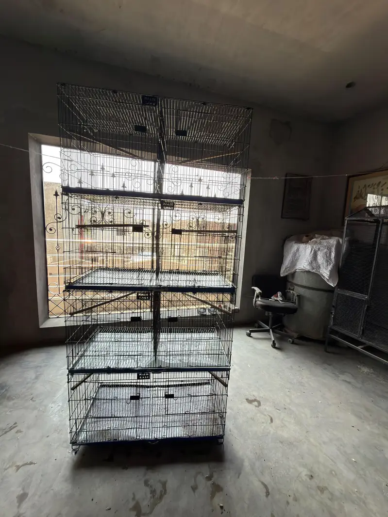 cages 4 portion each have big — photo 4