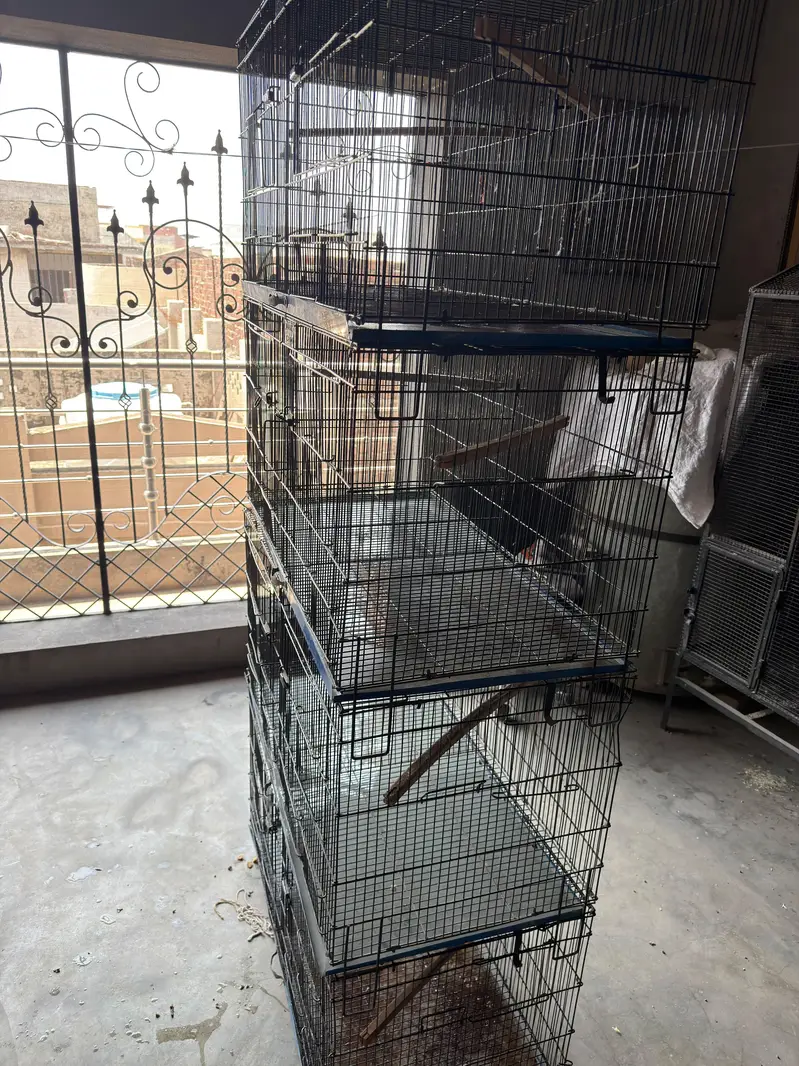 cages 4 portion each have big — photo 5