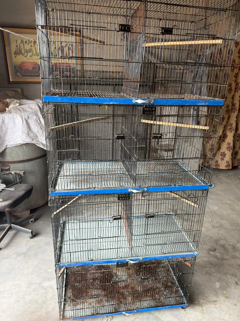 cages 4 portion each have big — photo 6