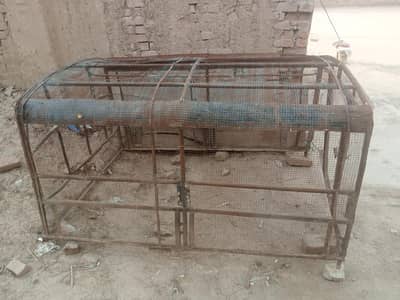 pinjra for sale