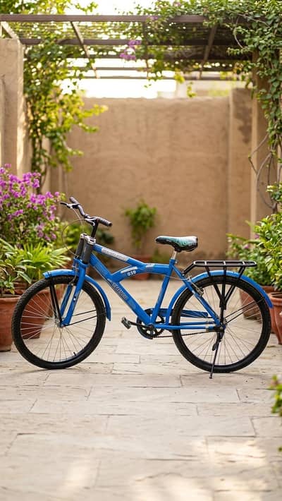 Simple Blue Cycle for Sale