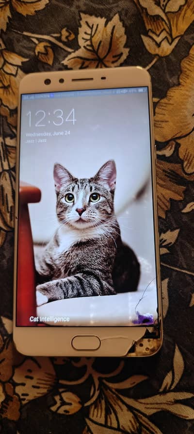 OPPiO f3plus