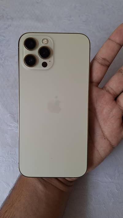 Iphone 12 pro max