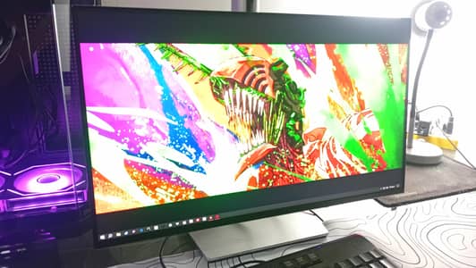 DELL P2225H 22 inch 100 Hz monitor