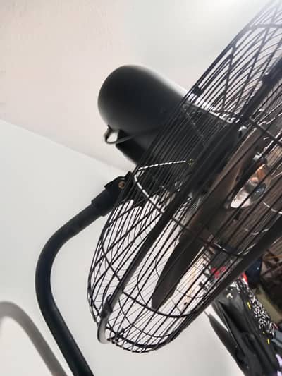 pediatal fan