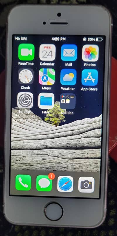 Apple iPhone SE