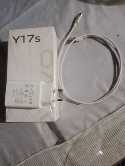 Vivo Y17s