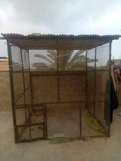 cage for parrots dogs and goats