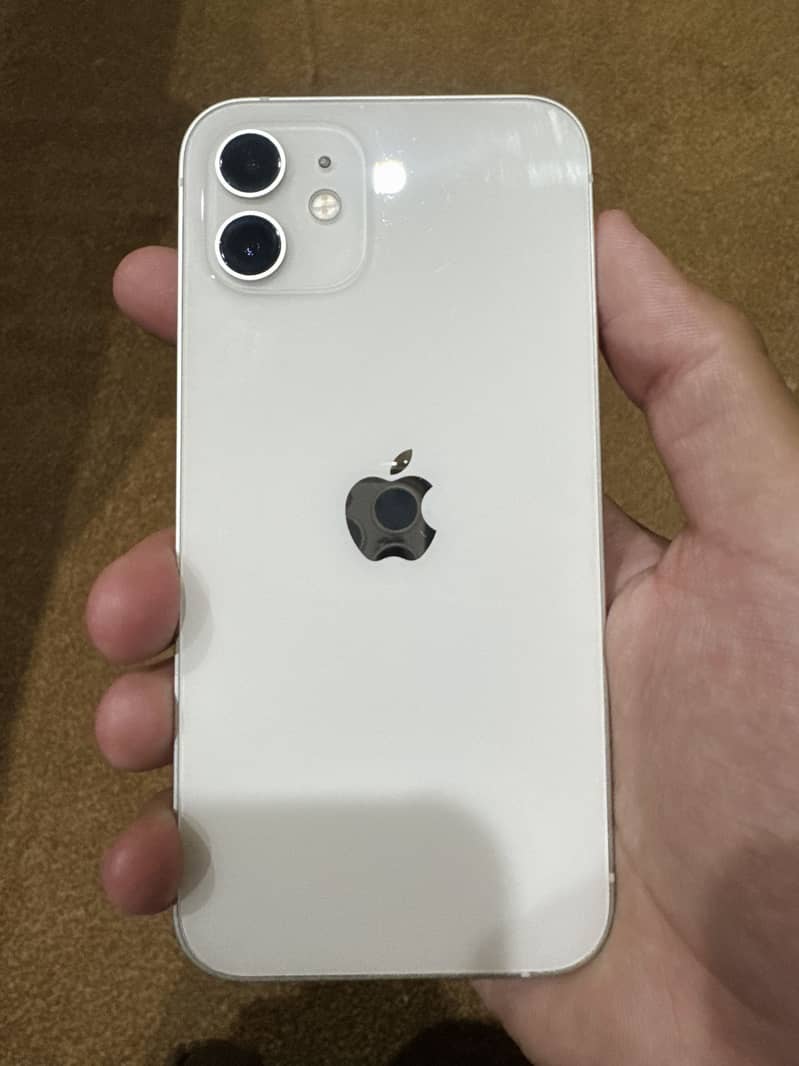 Apple iPhone 12 1