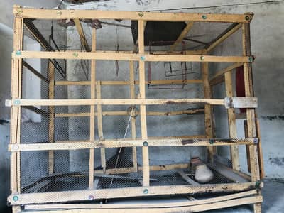 Hen cage parrot cage