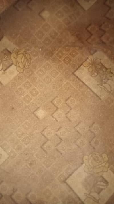 12 x 9 Feet Carpet office - 1 Pc