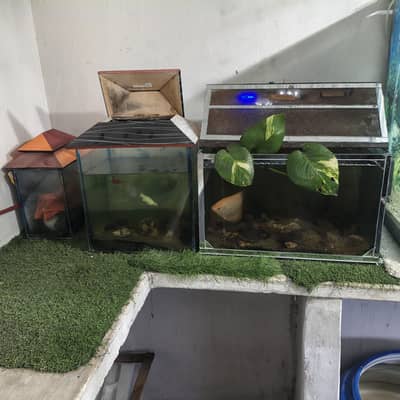 Aquarium for sale