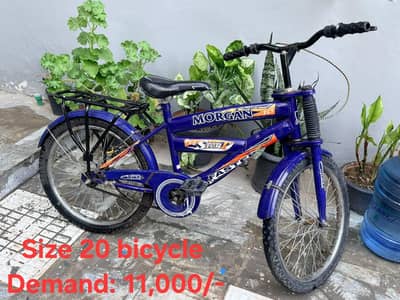 Pakistani bicycle