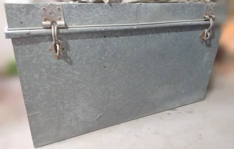 trunk