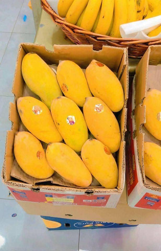 sujrha Mango  form 3