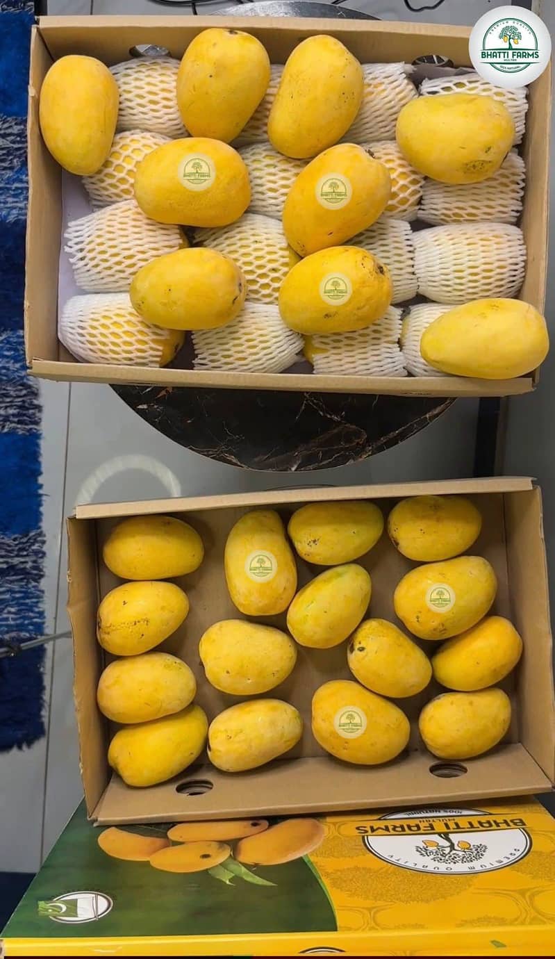 sujrha Mango  form 4
