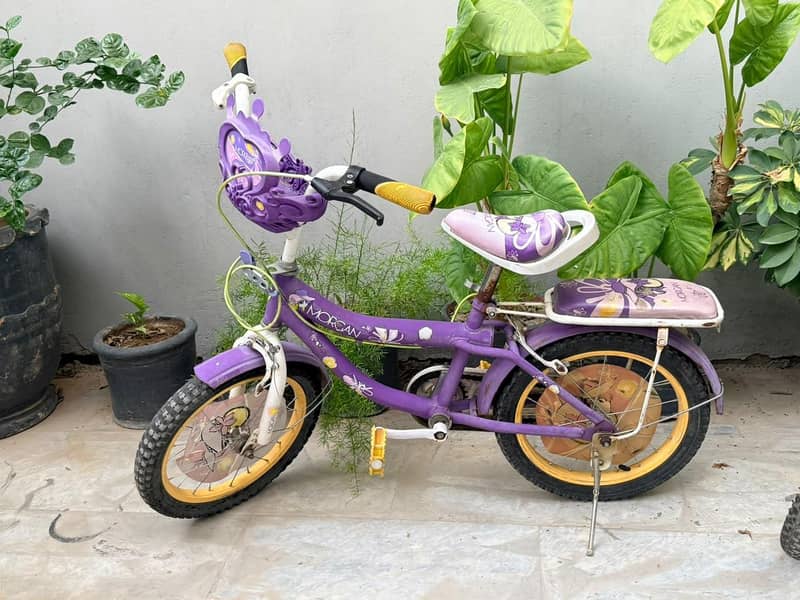 imported bicycle 0