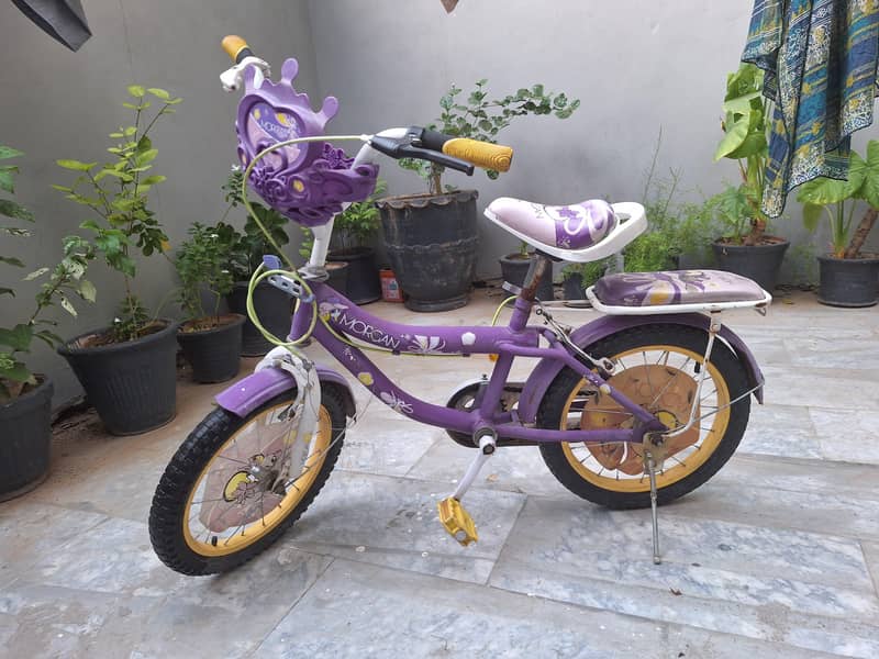 imported bicycle 1