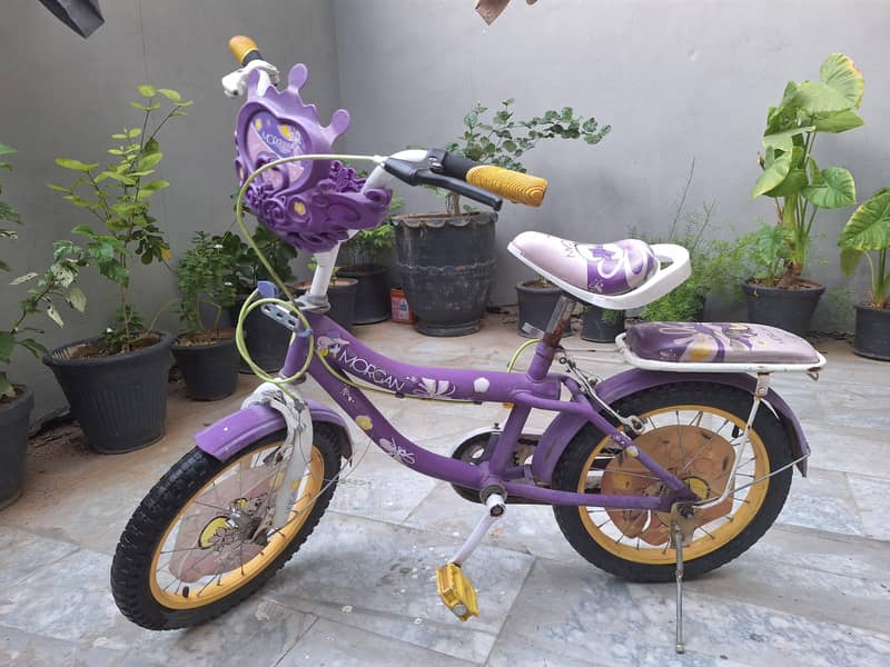 imported bicycle 2