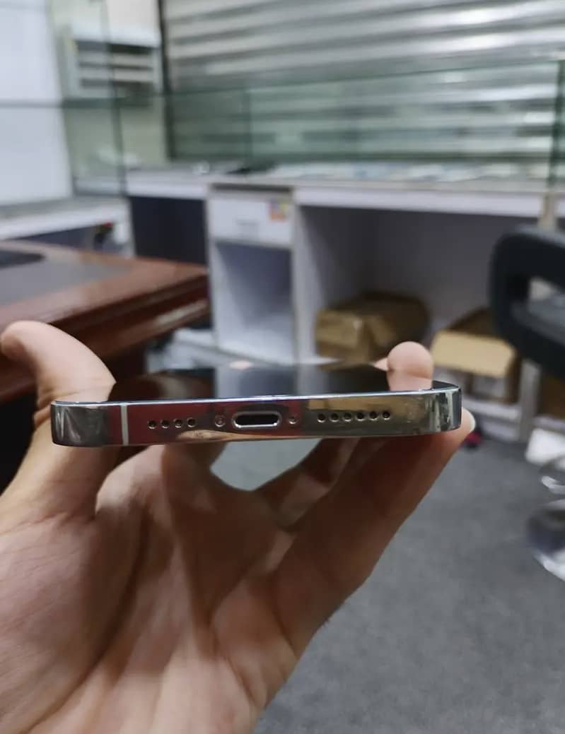iPhone 13 Pro Max 1
