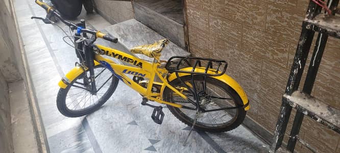 Olympia Lion Bicycle for Sale
