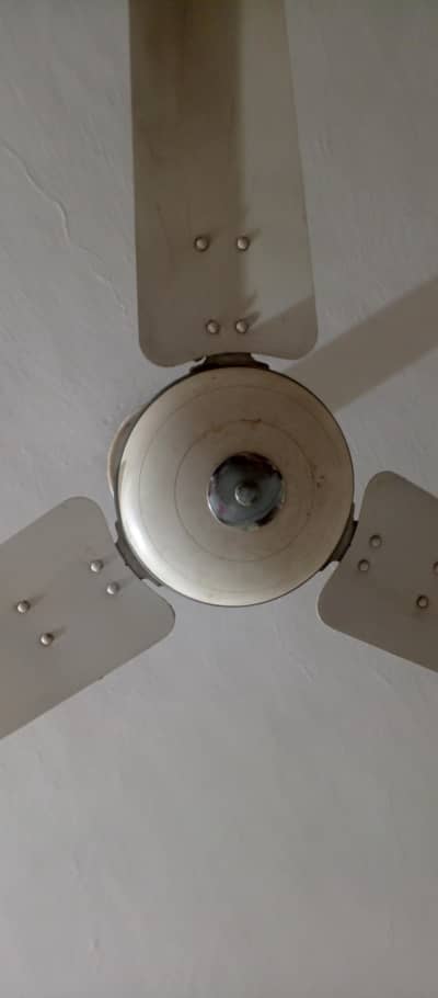 Celling Fan Royal Branded good work