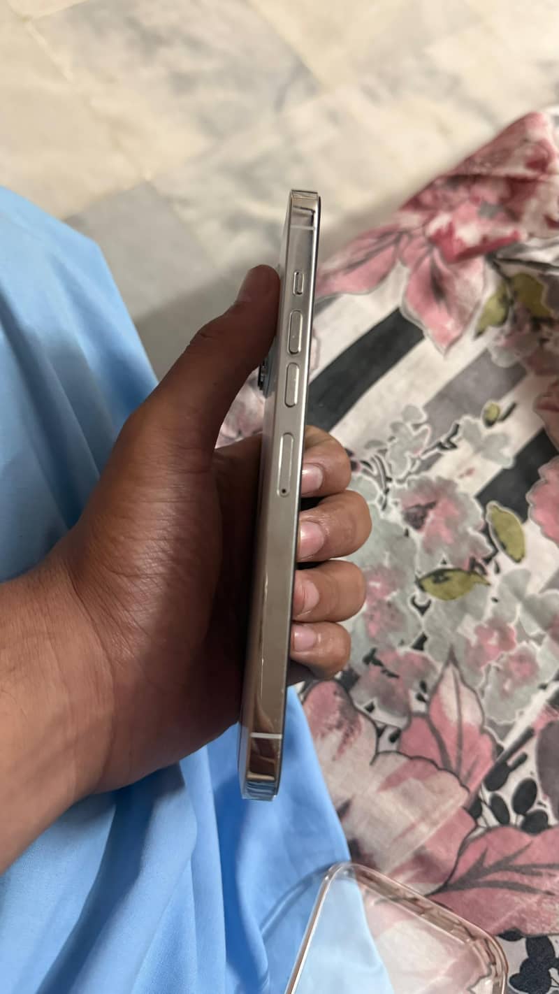 Apple iPhone 13 Pro Max 3