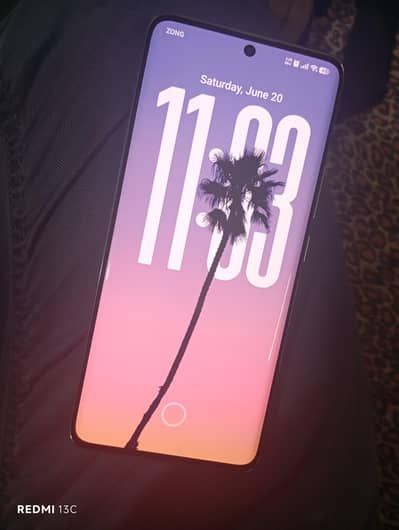 Xiaomi Redmi Note 14 Pro Plus