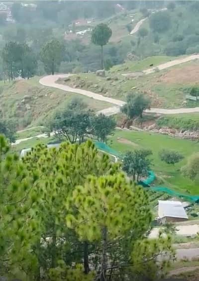 Premium plot Area in Main Murree