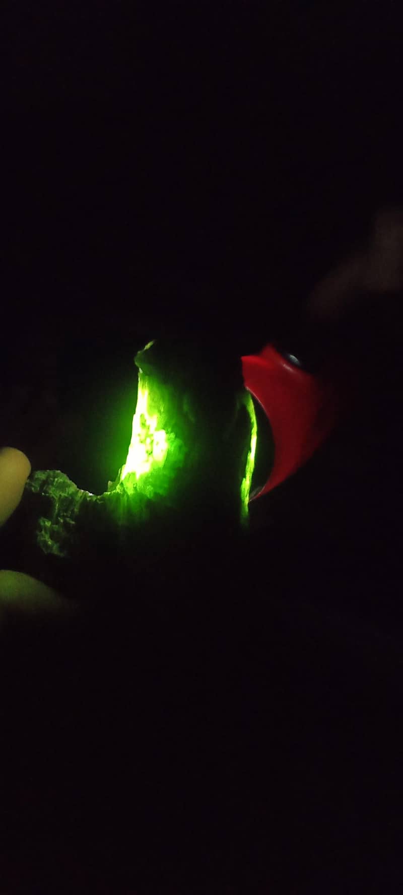 nephrite 1