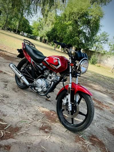Yamaha ybz dx