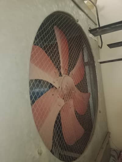 lahori coller