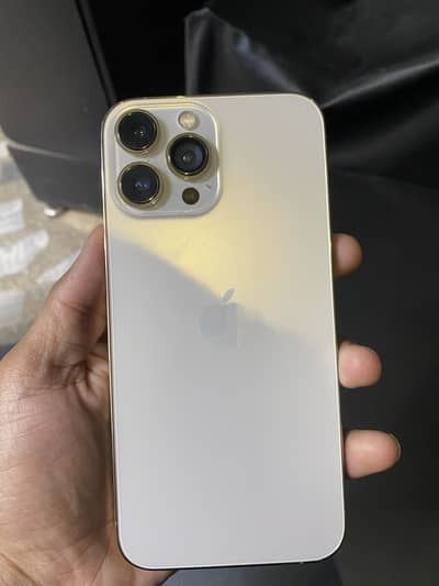 Apple iPhone 13 Pro Max