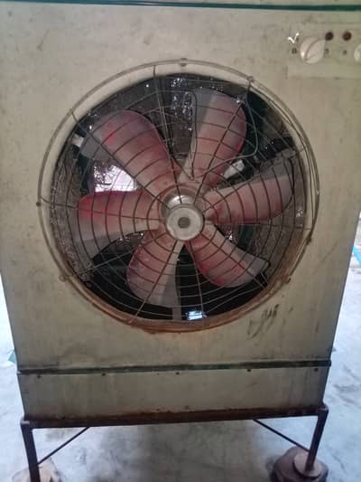 Air koalar four sali