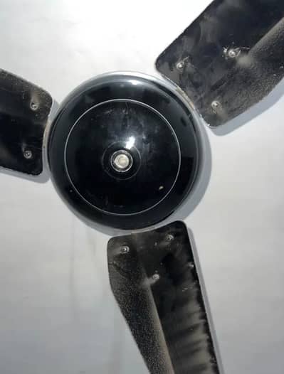 Pure selling fan