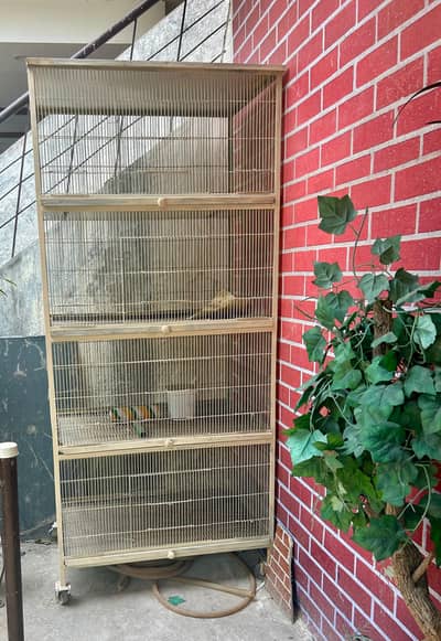 cages for sale