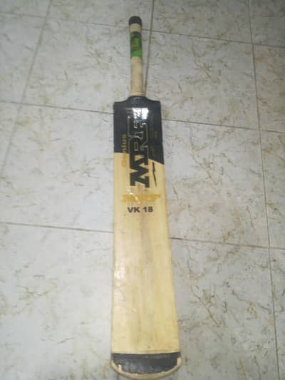 Abdul Rafay bat