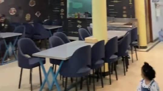dinning chairs
