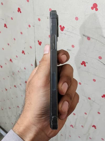 Apple iPhone 12 Pro