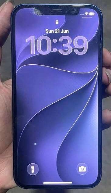 Apple iPhone 12 1