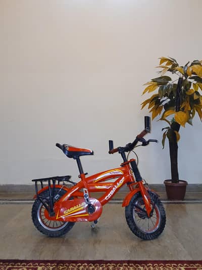 kids bicycle