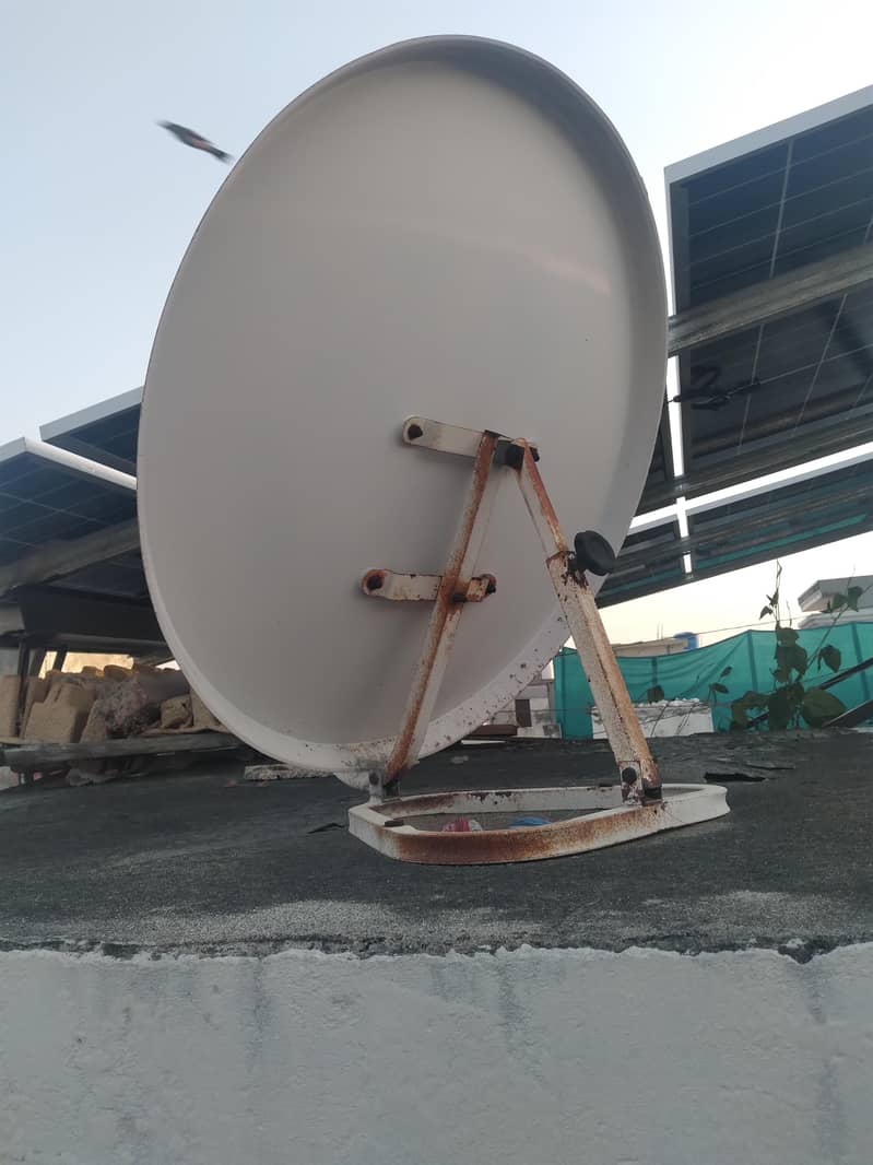 4inch dish 2