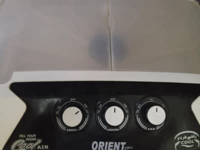 Black color orient