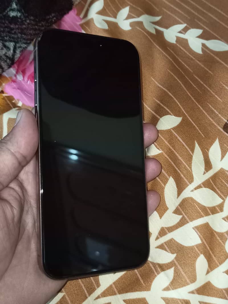 iPhone 16 Pro Max 1