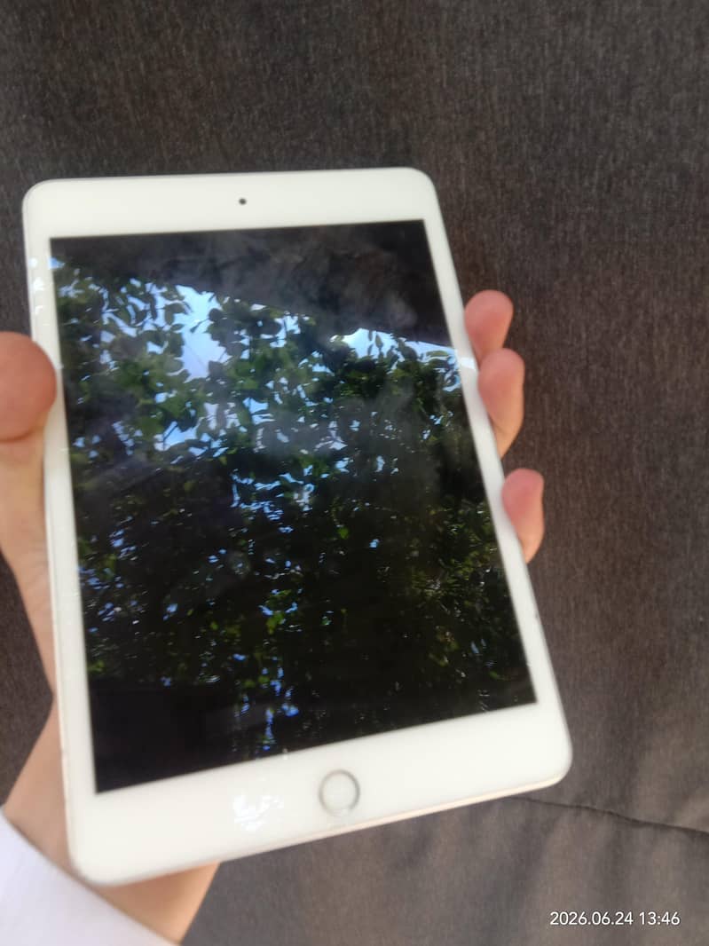 ipad mini 5 0